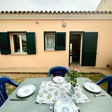 Le In Collina - San Teodoro *